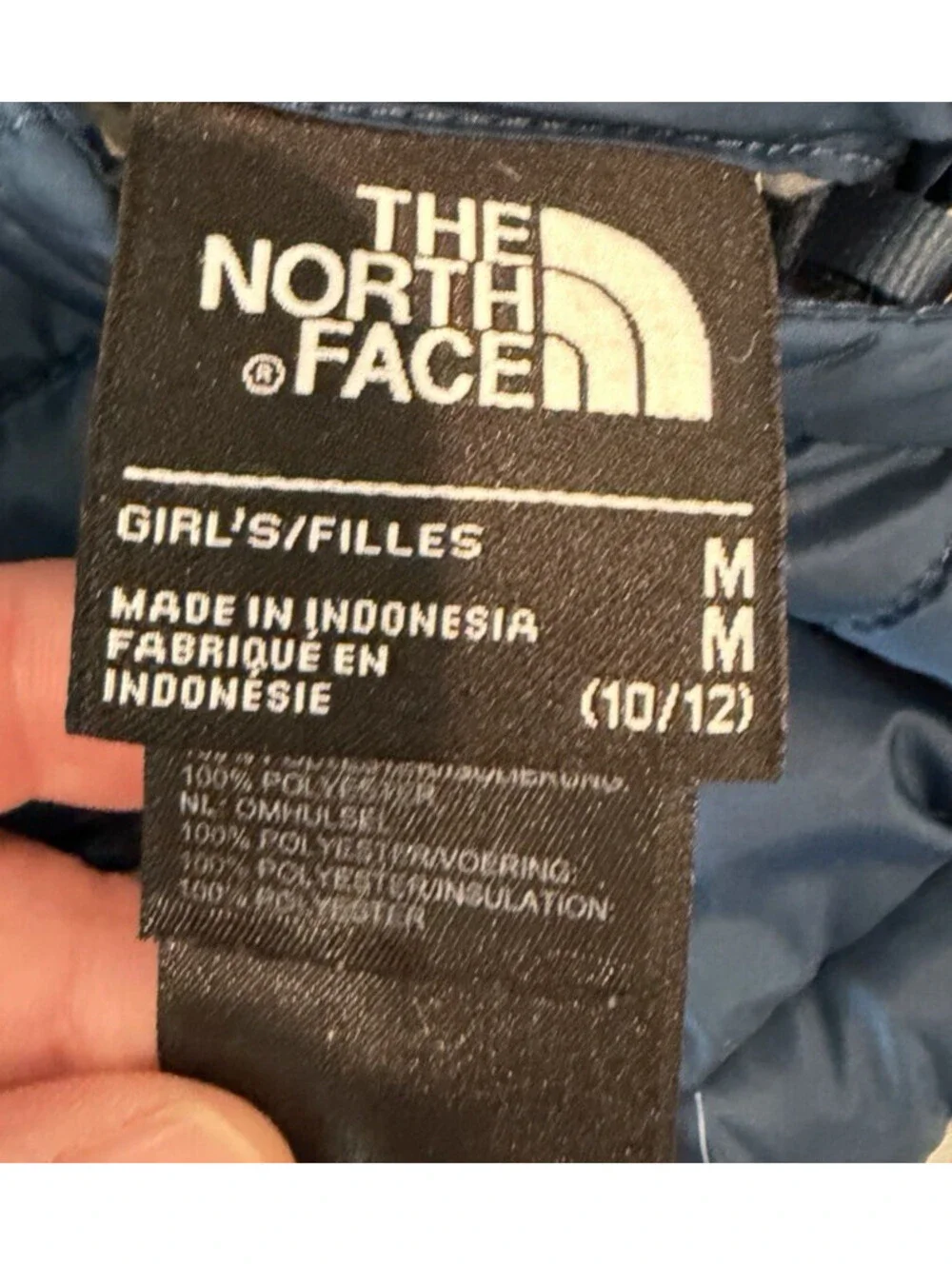 The North Face brand north